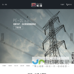 上海帕涅信息科技有限公司