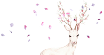 青岛高达花边有限公司